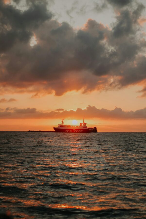 Daliniai kroviniai: efektyvus sprendimas verslui